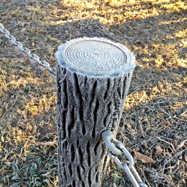 Freezing log